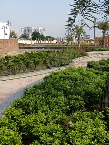 Plot Area in  Plot at Mubarakpur – for Sale