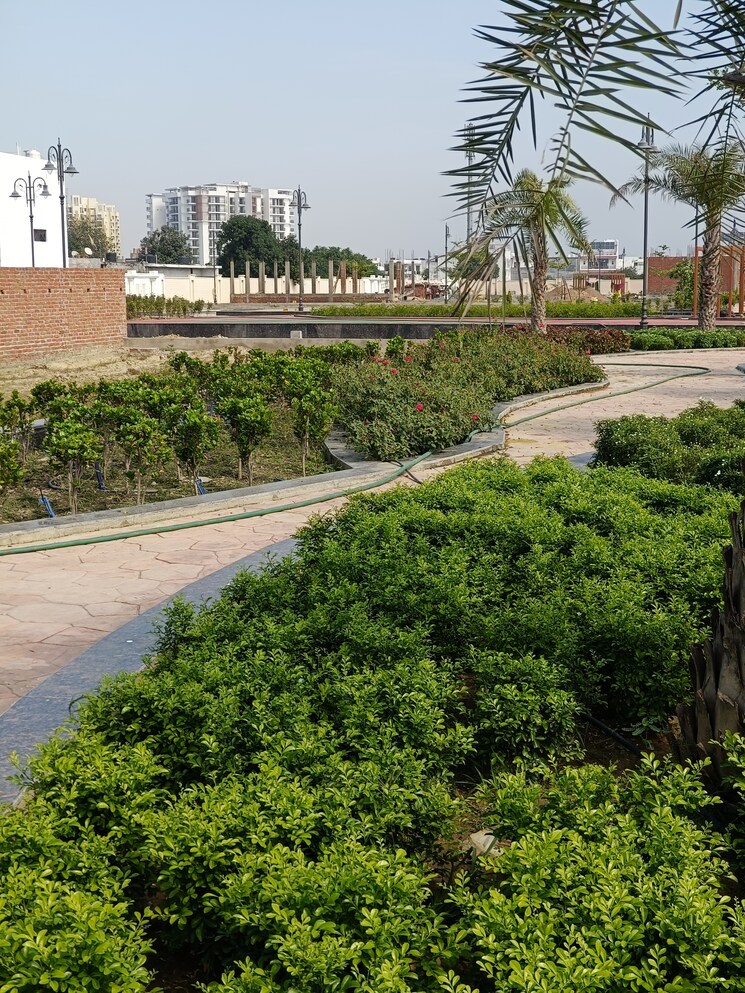 undefined, mubarakpur  1000 Sq.Yd. Plot In Mubarakpur Lucknow 7907789