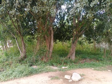 Plot Area in  Plot at Chikkathoguru – for Sale