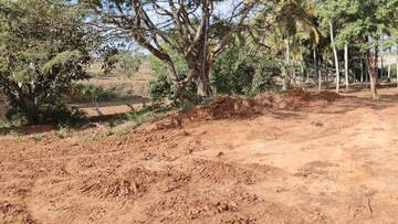 Plot Area in  Plot at Chikkathoguru – for Sale