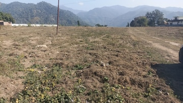 Plot For Resale in Raipur Road Dehradun  7908111