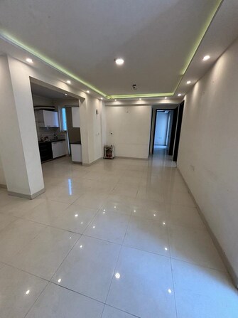 2 BHK Builder Floor For Rent in Kohli One Malibu Town Plot Sector 47 Gurgaon  7908144