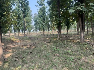  Plot – Exterior View View at Shimla Bypass Road - for Sale
