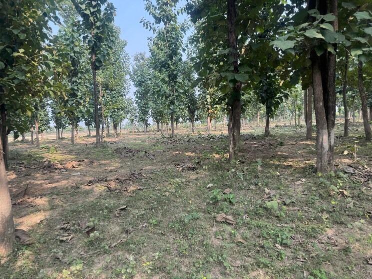 Exterior View, shimla bypass road  150 Sq.Yd. Plot In Shimla Bypass Road Dehradun 7908183