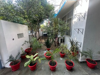 3 BHK Villa For Rent in Eldeco City Villa Iim Road Lucknow  7908319