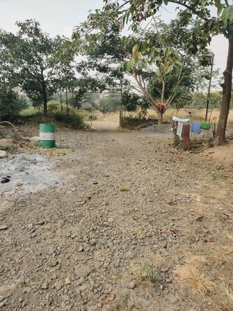 Commercial Land 2 Acre For Rent in Narhe Pune  7908530