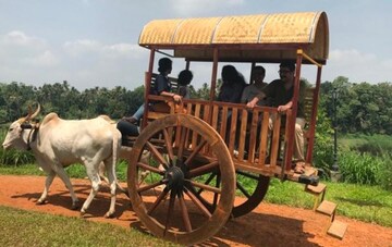  Plot For Sale in Peeranchuruvu