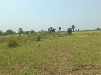 Commercial Land 5000 Sq.Ft. For Resale in Timiri Vellore  7908968