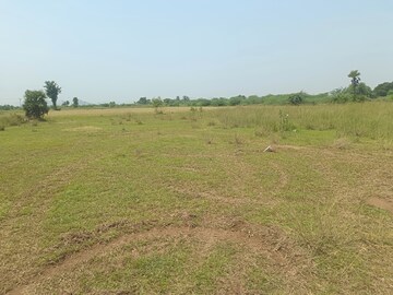  Land – Exterior View View at Timiri - for Sale