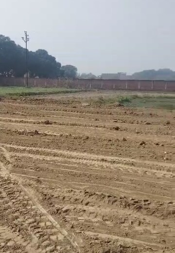  Plot For Sale in Babatpur