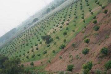  Land – Exterior View View at Khairatabad - for Sale