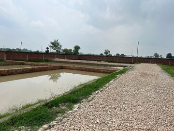  Plot – Exterior View View at Harhua - for Sale
