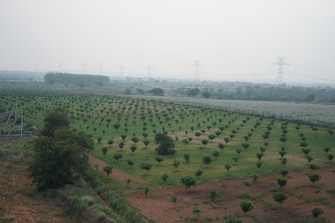 Commercial Land 165 Sq.Yd. For Resale in Burgul Hyderabad  7909404