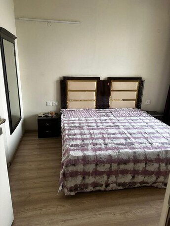 3 BHK Apartment For Rent in DLF The Ultima Sector 81 Gurgaon  7909458