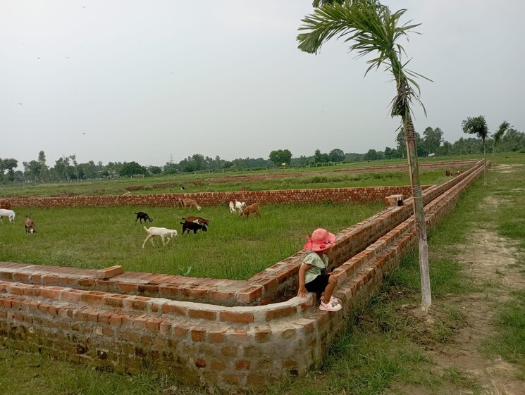 Exterior View, gomti nagar  1000 Sq.Ft. Plot In Gomti Nagar Lucknow 7909843