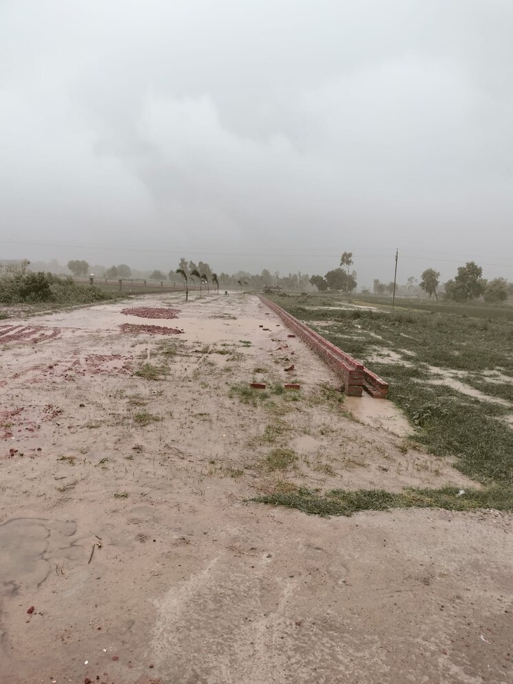 undefined, gomti nagar  1000 Sq.Ft. Plot In Gomti Nagar Lucknow 7909843