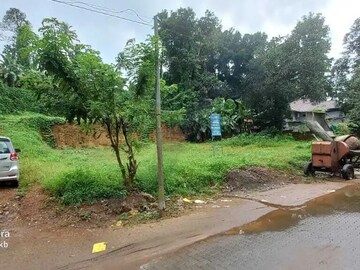 Plot For Resale in Ramamangalam Road Thodupuzha  7910098