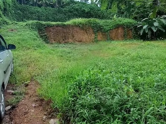 Plot For Resale in Ramamangalam Road Thodupuzha  7910098