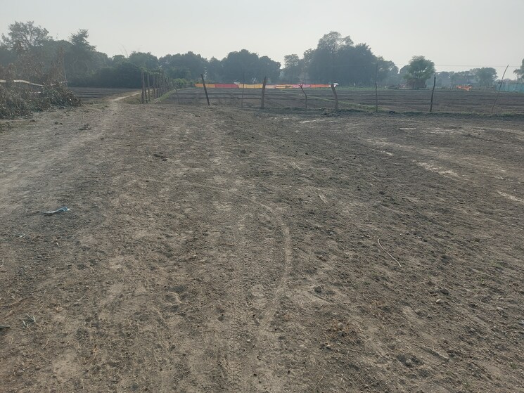 Exterior View, raebareli road  1200 Sq.Ft. Plot In Raebareli Road Lucknow 7910279