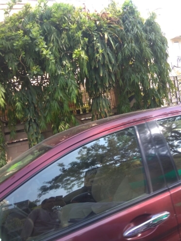 Balcony, maharani bagh 6+ Bedroom 1855 Sq.Yd. Independent House In Maharani Bagh Delhi 7910674