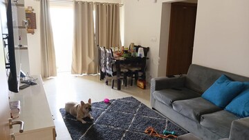Living Room in 3 BHK Apartment at Mantri Webcity, Hennur – for Rent