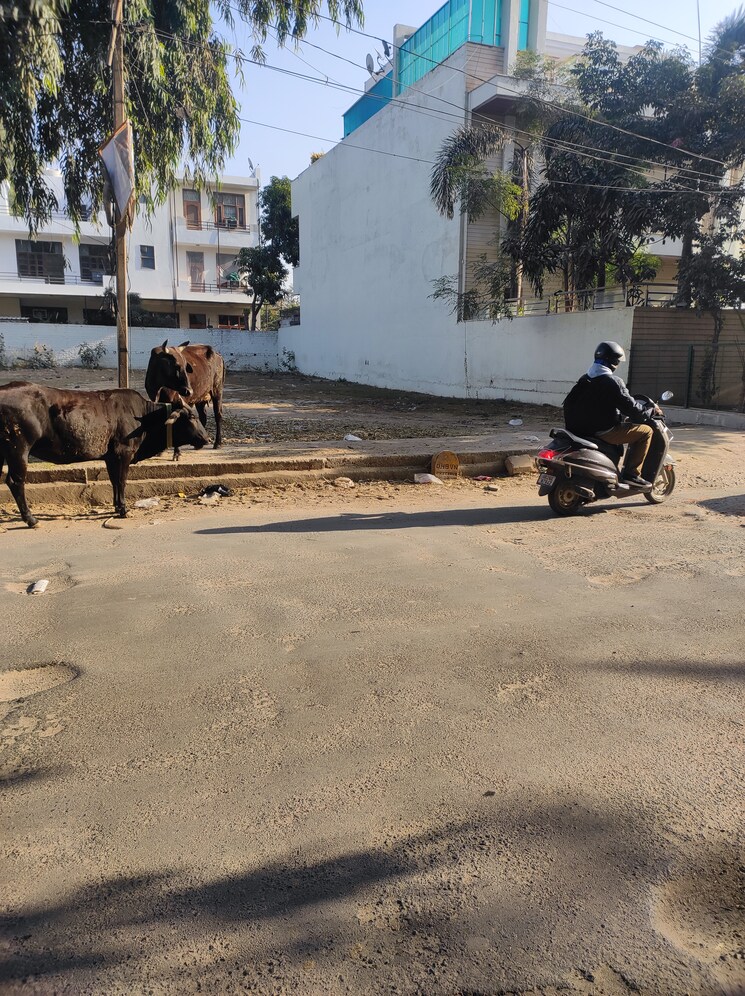 Exterior View, pratham-meghdoot-apartment  500 Sq.Yd. Plot In Sector 10a Gurgaon 7911858