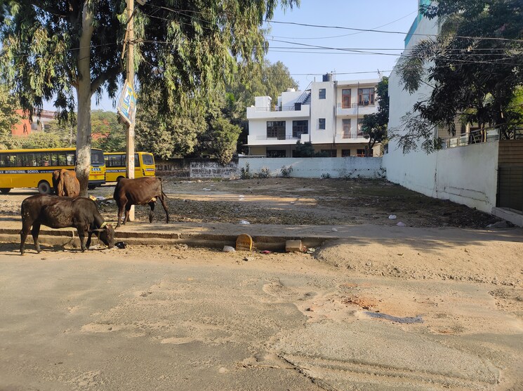 Exterior View, pratham-meghdoot-apartment  500 Sq.Yd. Plot In Sector 10a Gurgaon 7911858