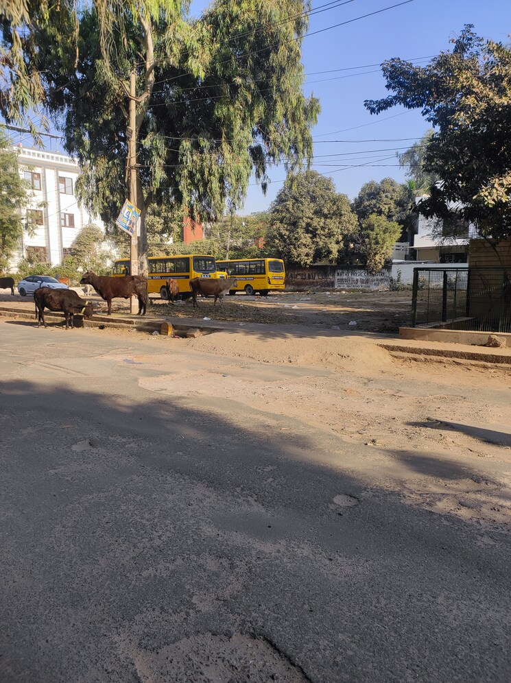 Exterior View, pratham-meghdoot-apartment  500 Sq.Yd. Plot In Sector 10a Gurgaon 7911858