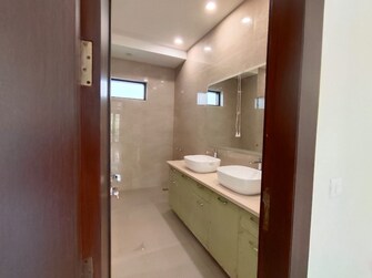 3 BHK Apartment For Rent in Sector 10 Gurgaon  7911826