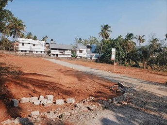 Plot For Resale in Mannuthy Thrissur  7911893