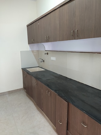 2 BHK Apartment For Rent in Bliss Regal Cambridge Layout Bangalore  7912060