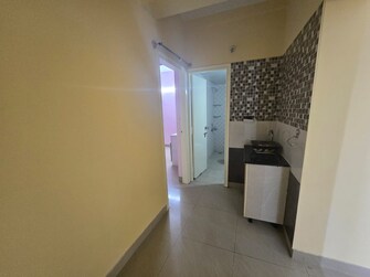 3 BHK Apartment For Rent in Valmark Ananda Bannerghatta Bangalore  7912543