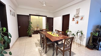 4 BHK Apartment For Rent in Prestige Falcon City Konanakunte Bangalore  7912775