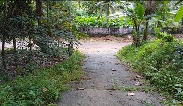 Plot Area in  Plot at Vattapara – for Sale