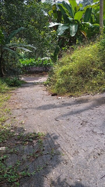 Plot Area in  Plot at Vattapara – for Sale