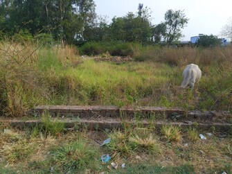 Plot For Resale in Tiwaripur Lucknow  7913004