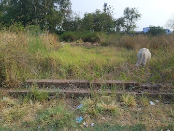 Plot For Resale in Tiwaripur Lucknow  7913004