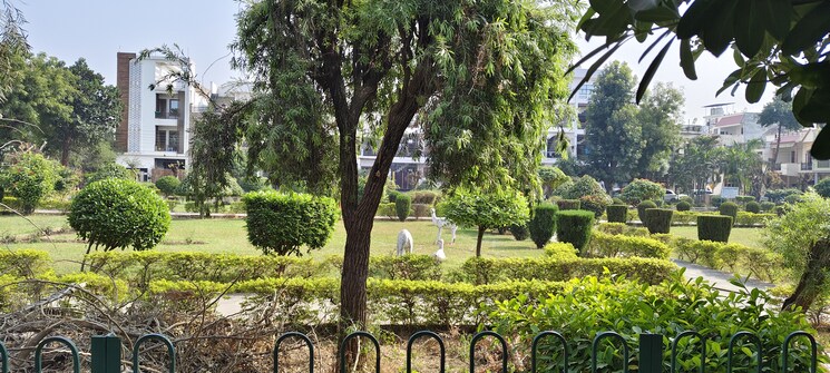 Garden, gomti nagar 4 Bedroom 1250 Sq.Ft. Independent House In Gomti Nagar Lucknow 7913120