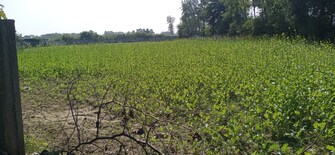 Commercial Land 3 Acre For Resale in Bijnor Lucknow  7913227