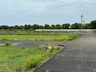 Plot For Resale in Amaatra Homes Noida Ext Sector 10 Greater Noida  7913421