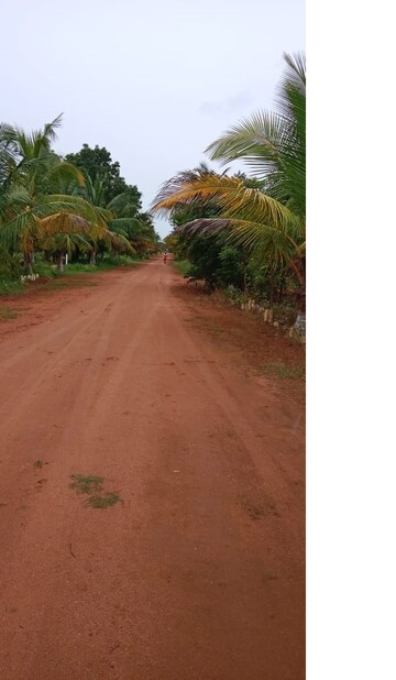  Plot – Exterior View View at Bibinagar - for Sale