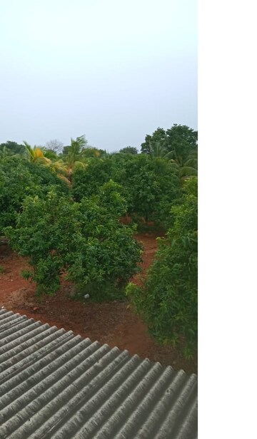  Plot – Exterior View View at Bibinagar - for Sale