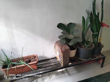 Gym in 3 BHK Apartment at Om Apartment Sus, Sus – for Rent