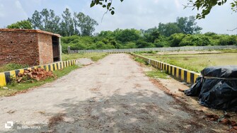 Plot For Resale in Lalbagh Lucknow  7914240