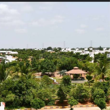 Plot Area in  Plot at Fortune 18, Amangal – for Sale