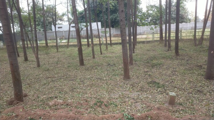 Exterior View, shankarpalli  605 Sq.Yd. Plot In Shankarpalli Hyderabad 7914436