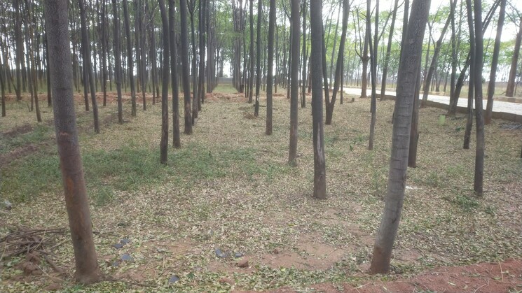 undefined, shankarpalli  605 Sq.Yd. Plot In Shankarpalli Hyderabad 7914436