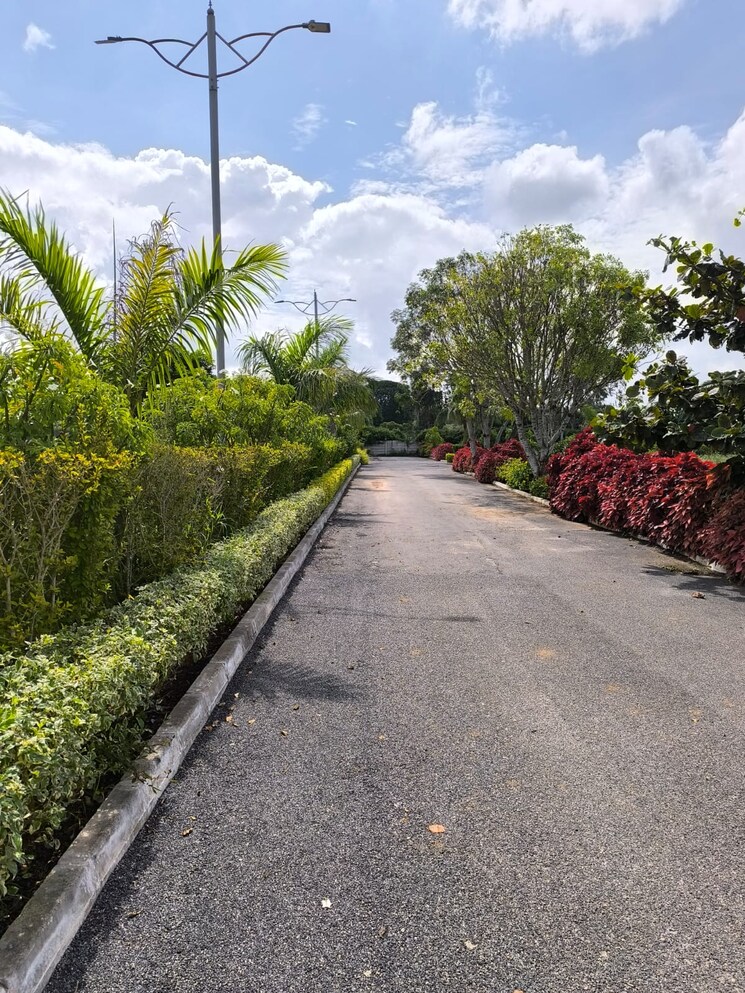 Garden, nakshatra-township  1575 Sq.Yd. Plot In Chandapura Bangalore 7914472
