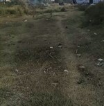 200 Sq.Yd. Plot in Sector 2