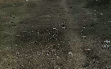 Plot For Sale in Sector 2